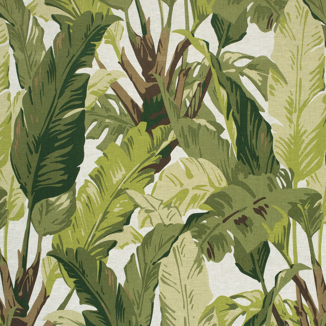 Travelers Palm fabric in sage color - pattern number F910131 - by Thibaut in the Tropics collection