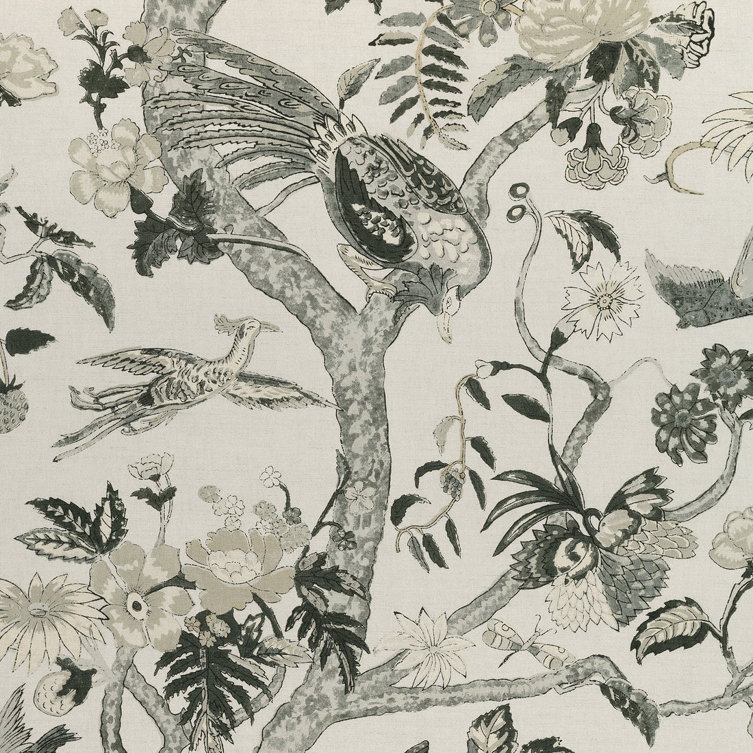 Coromandel fabric in grey color - pattern number F910227 - by Thibaut in the Colony collection