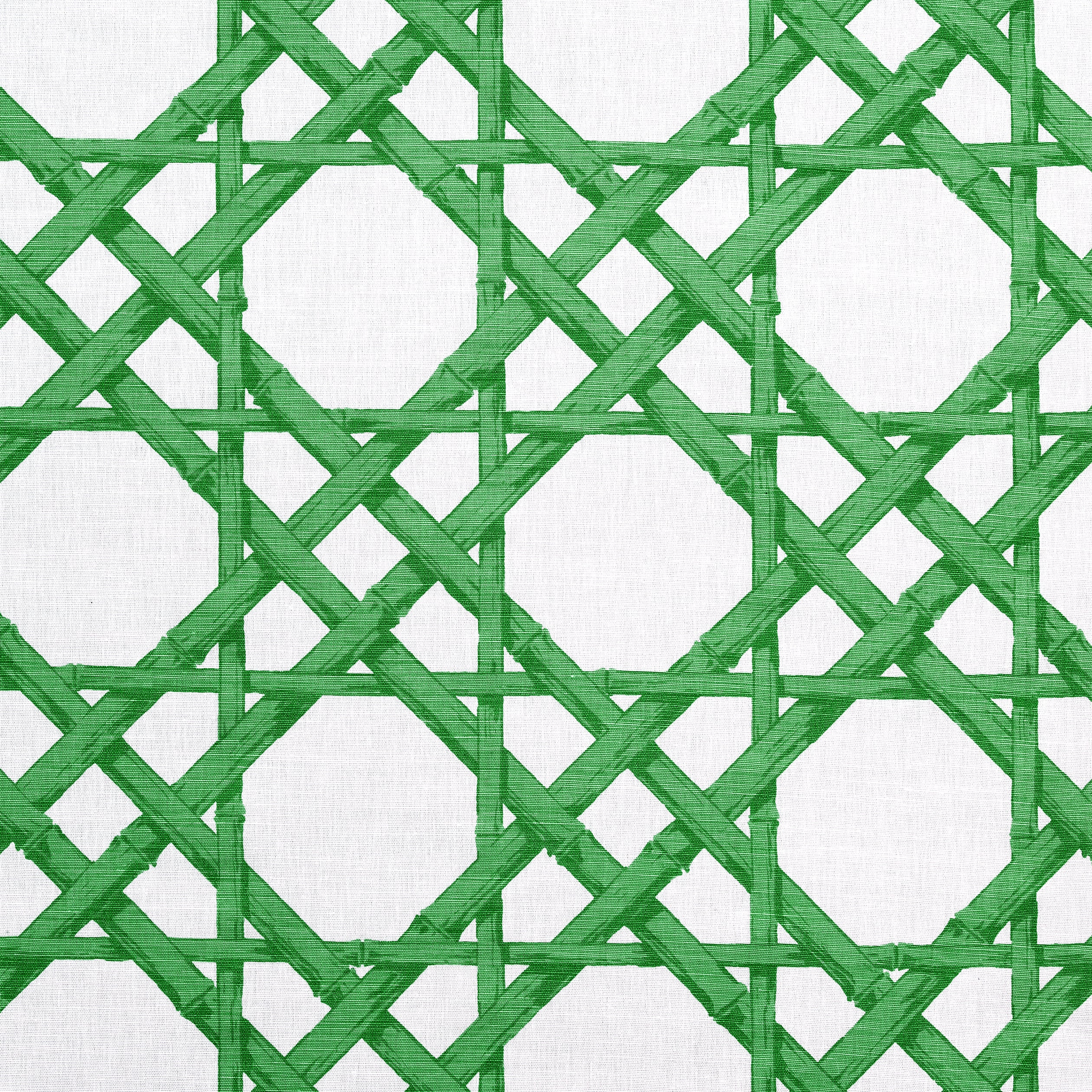 Cyrus Cane fabric in emerald green color - pattern number F913140 - by Thibaut in the Summer House collection