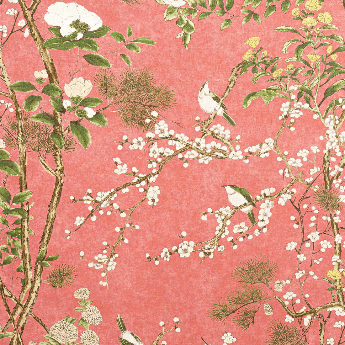 Katsura fabric in coral - pattern number F913624 - by Thibaut in the Grand Palace collection