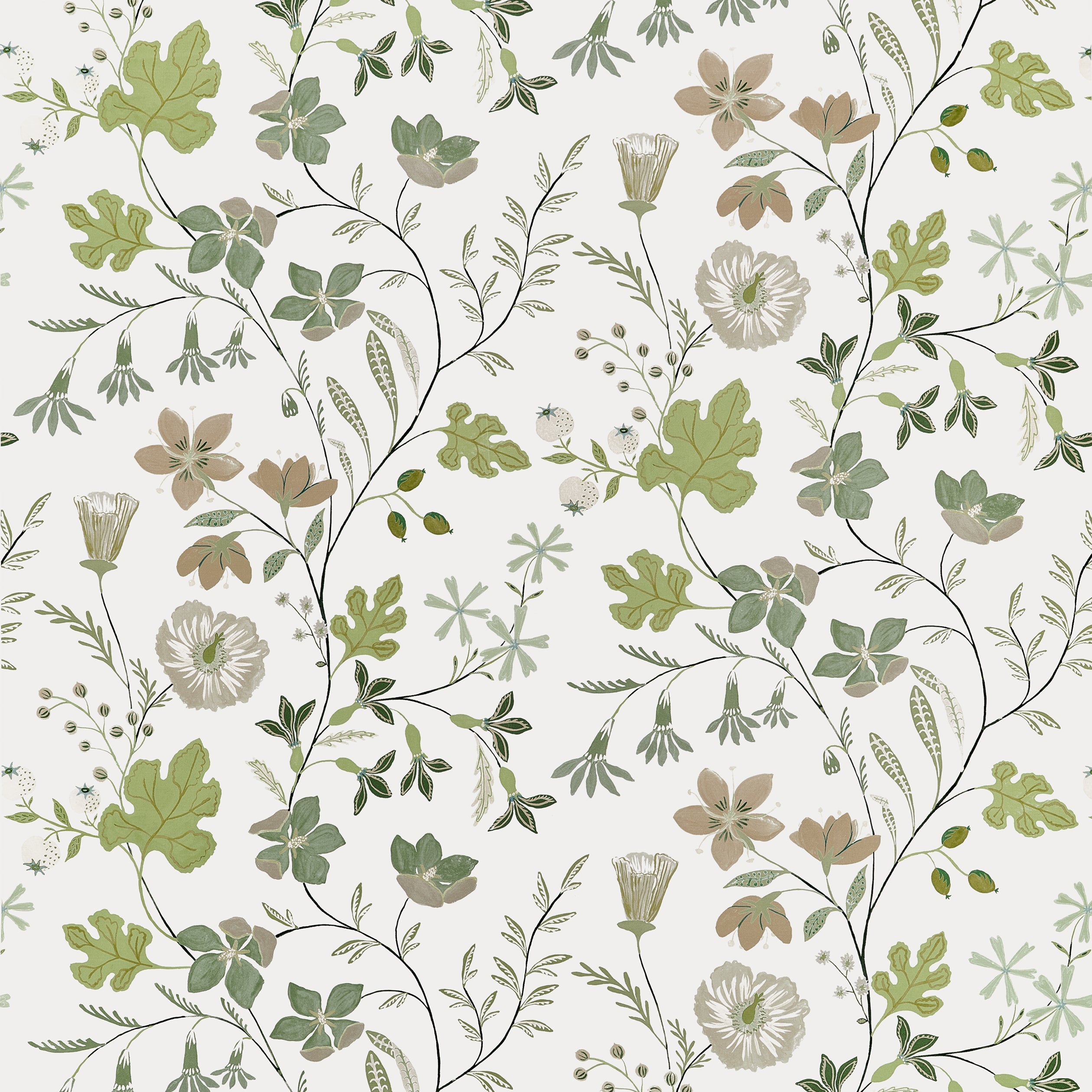 Bloom fabric in Sage color - pattern number F914625 - by Thibaut in the Fairhaven collection