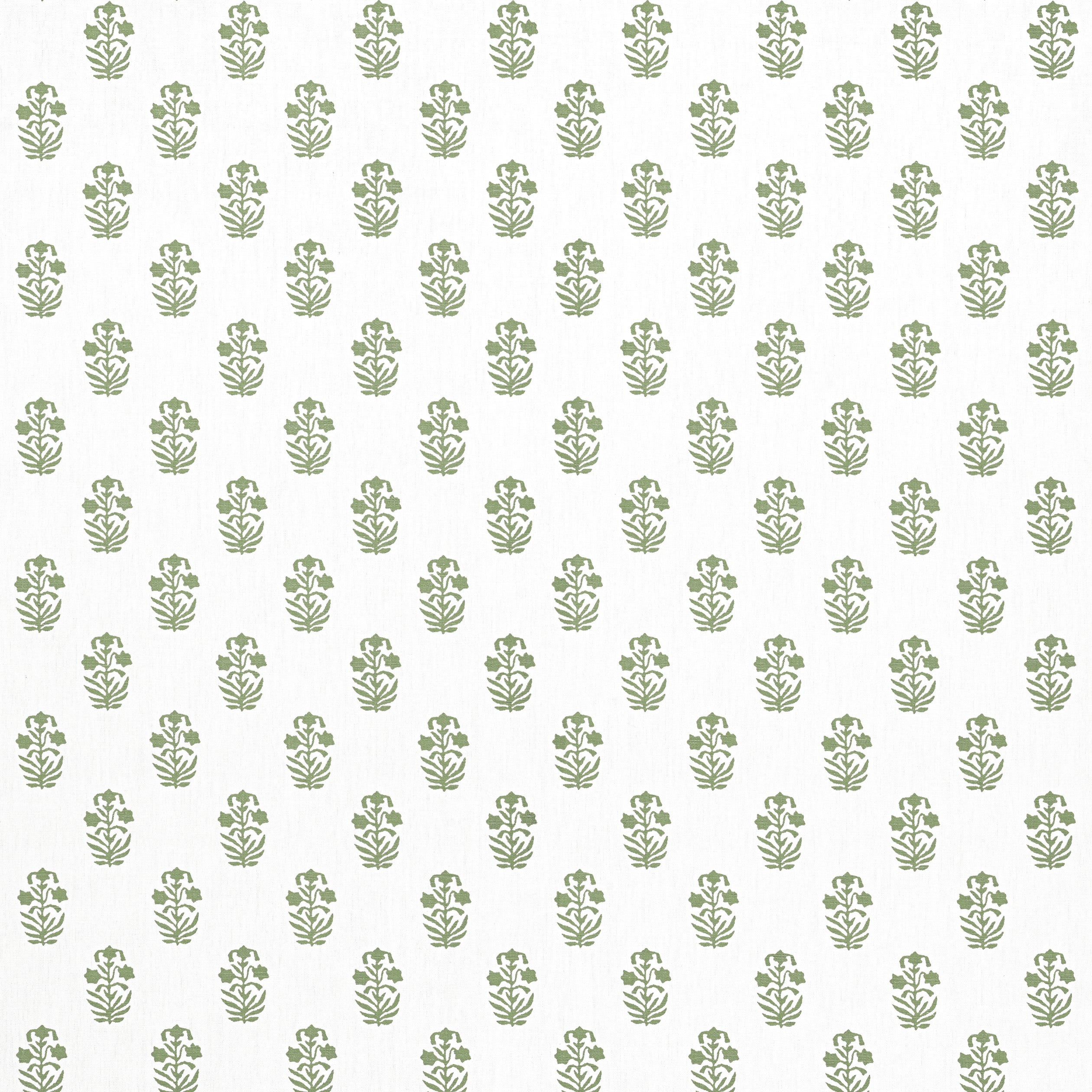 Corwin fabric in green on white color - pattern number F936402 - by Thibaut in the Indienne collection