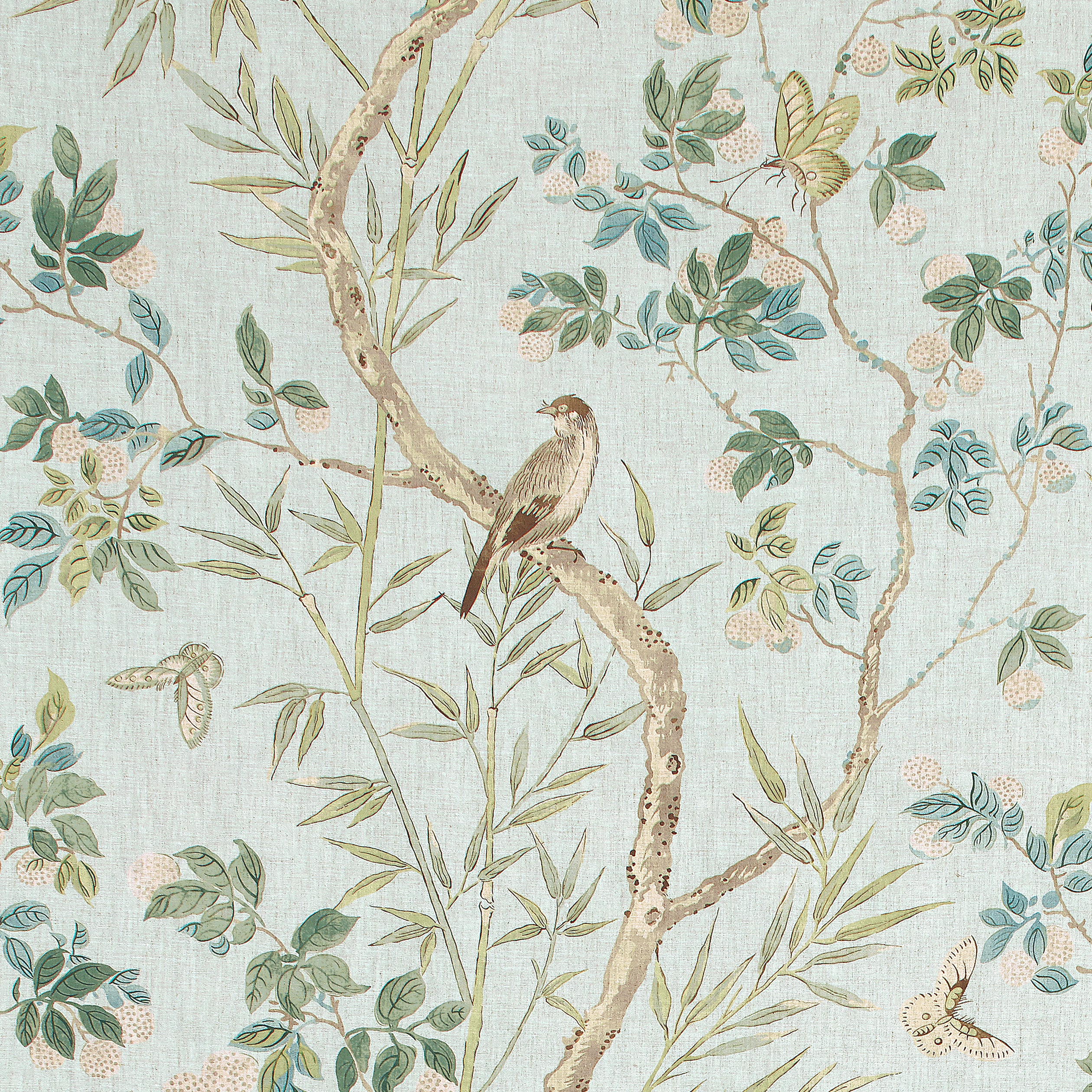 Claire fabric in spa blue color - pattern number F942010 - by Thibaut in the Sojourn collection