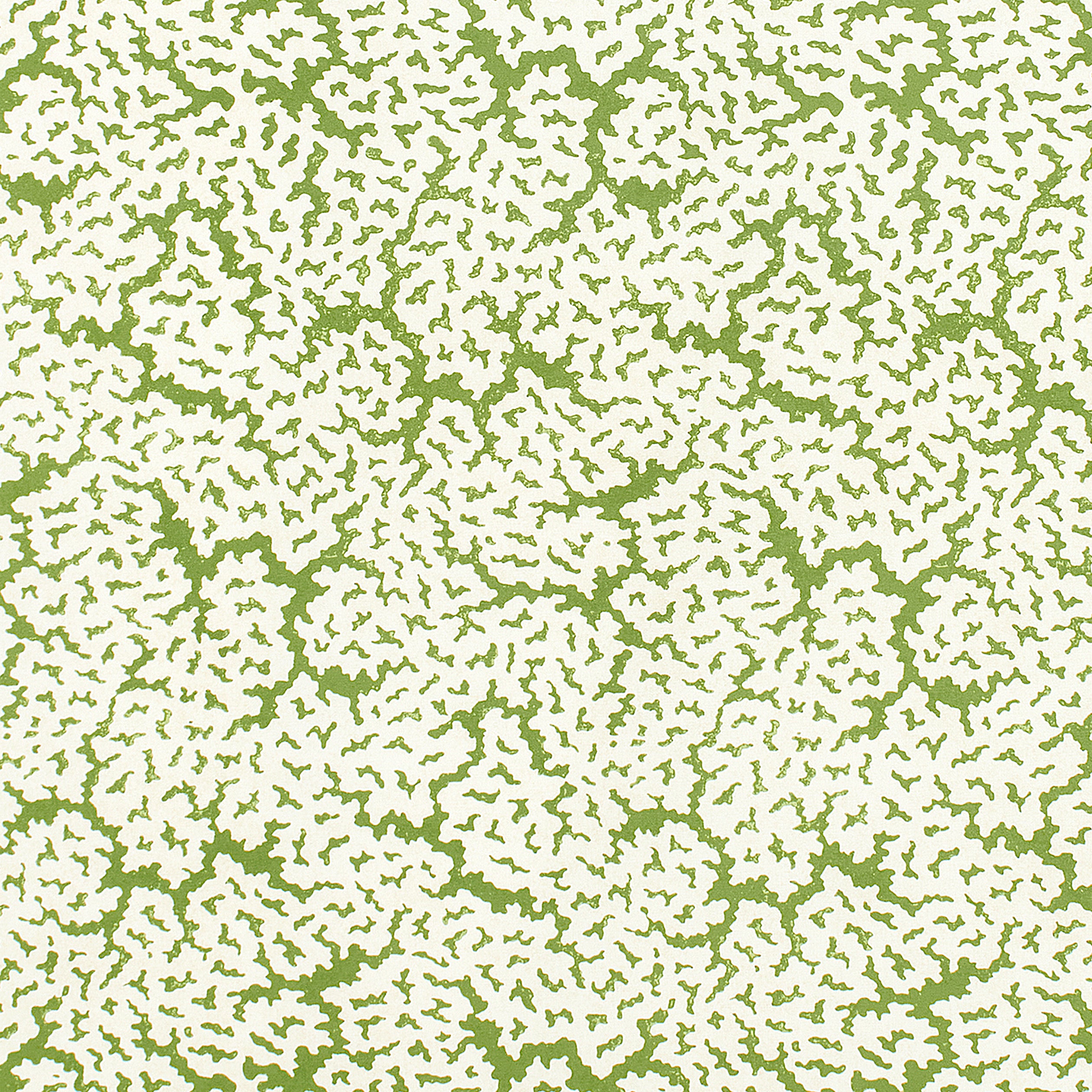 Maldives fabric in green color - pattern number F942041 - by Thibaut in the Sojourn collection