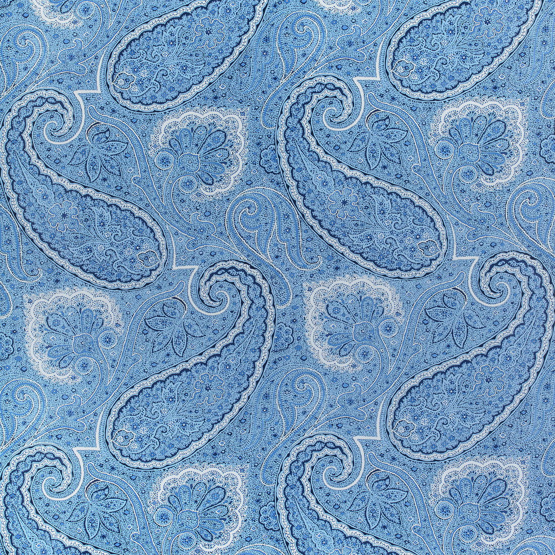 Sherrill Paisley fabric in blue and white color - pattern number F985079 - by Thibaut in the Greenwood collection