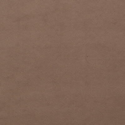 Forte Suede fabric in desert color - pattern FD514.606.0 - by Mulberry in the Concerto Suede collection