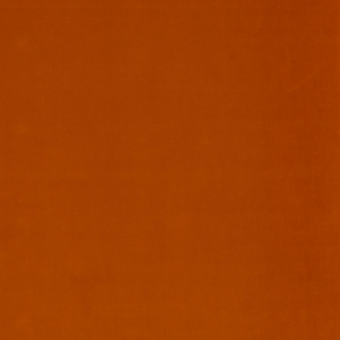 Mulberry Velvet fabric in spice color - pattern FD800.T30.0 - by Mulberry in the Mulberry Velvet collection