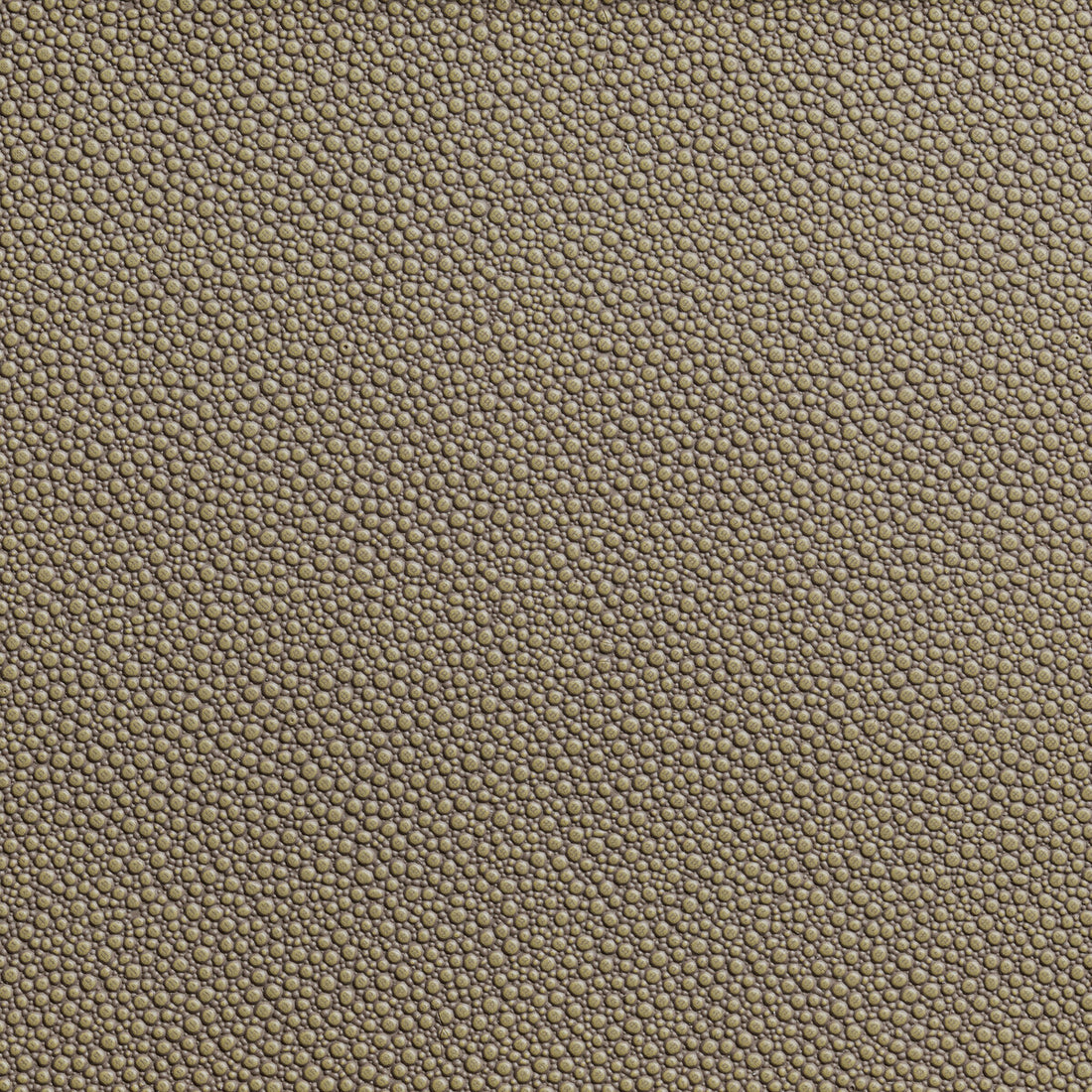 Fetch fabric in hemp color - pattern FETCH.106.0 - by Kravet Contract in the Foundations / Value collection