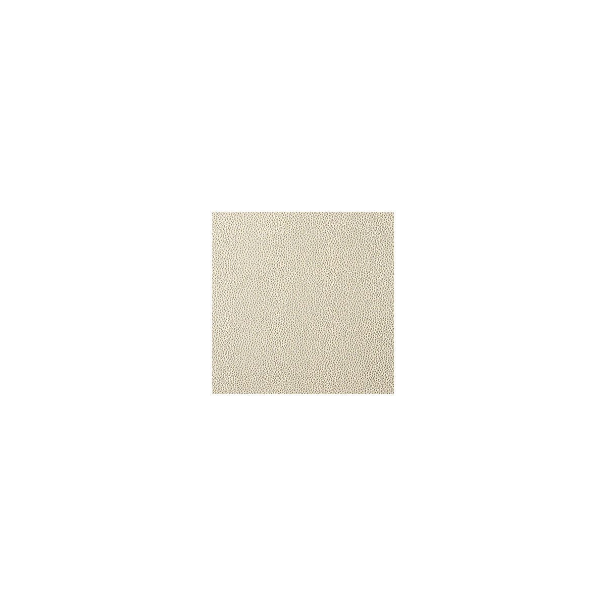 Fetch fabric in champagne color - pattern FETCH.116.0 - by Kravet Contract in the Foundations / Value collection