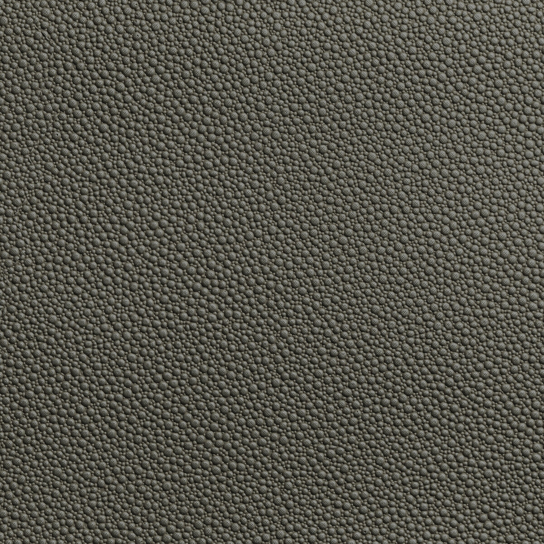Fetch fabric in granite color - pattern FETCH.21.0 - by Kravet Contract in the Foundations / Value collection