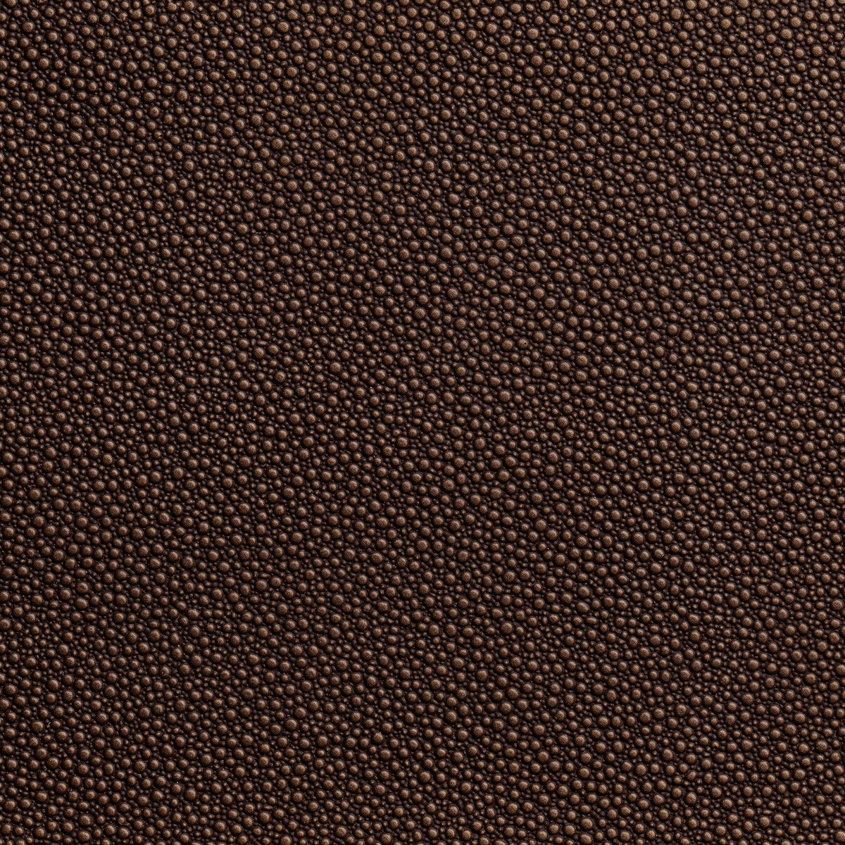 Fetch fabric in penny color - pattern FETCH.6.0 - by Kravet Contract in the Foundations / Value collection