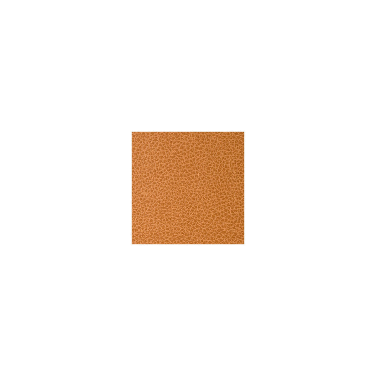 Foothill fabric in canyon color - pattern FOOTHILL.12.0 - by Kravet Contract in the Sta-Kleen collection