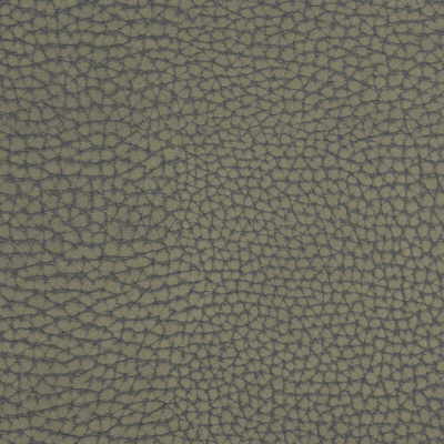 Forgetful fabric in greystone color - pattern FORGETFUL.21.0 - by Kravet Couture