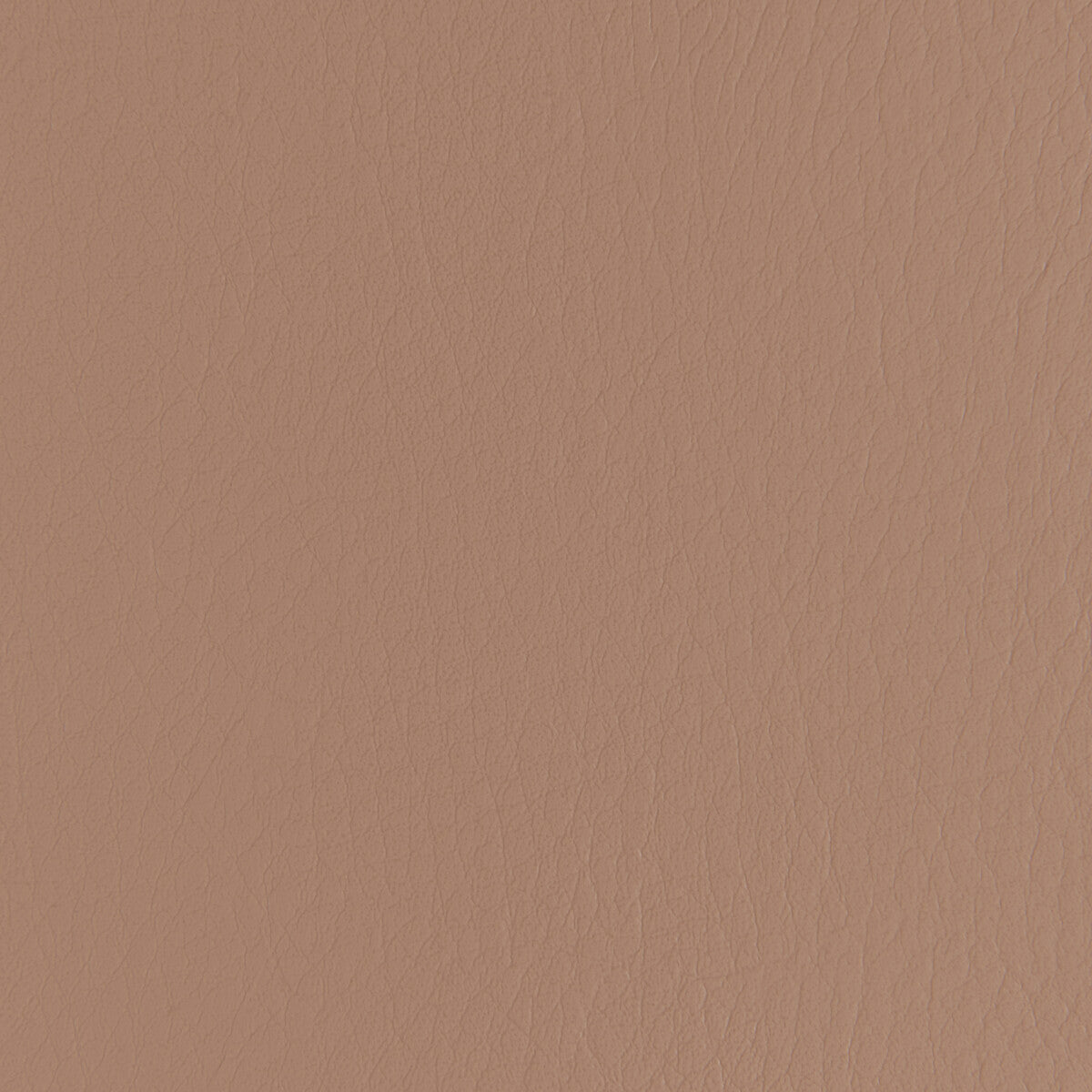 Forza fabric in praline color - pattern number FORZA.610.0 - by Kravet Contract in the Extreme Performance II collection