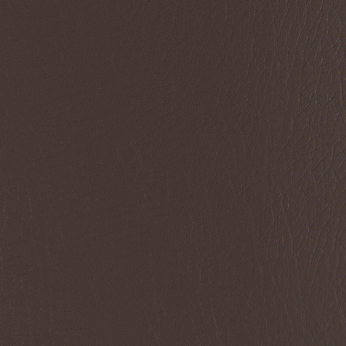 Forza fabric in java color - pattern number FORZA.66.0 - by Kravet Contract in the Extreme Performance II collection