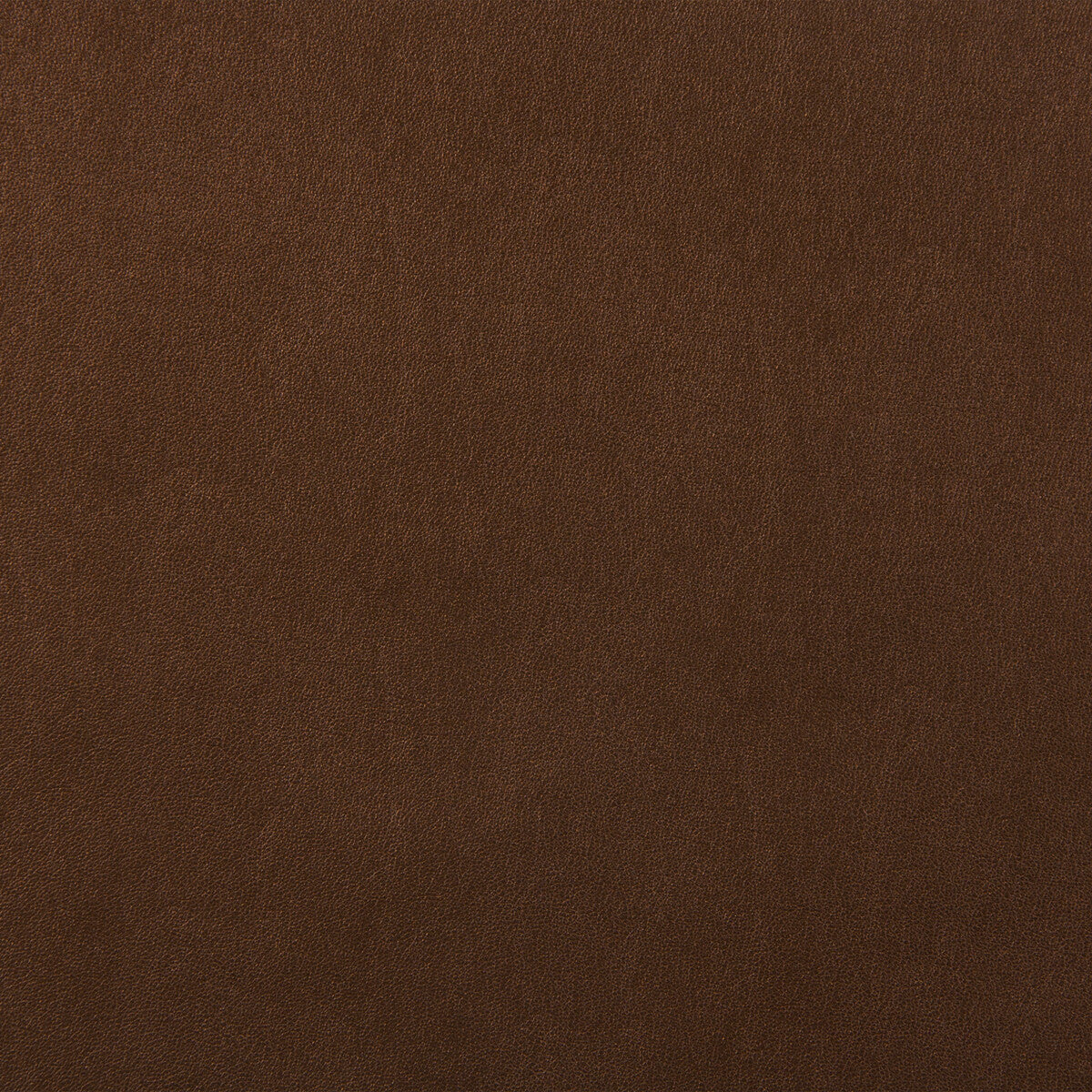 Kravet Design fabric in futuro-6 color - pattern FUTURO.6.0 - by Kravet Design