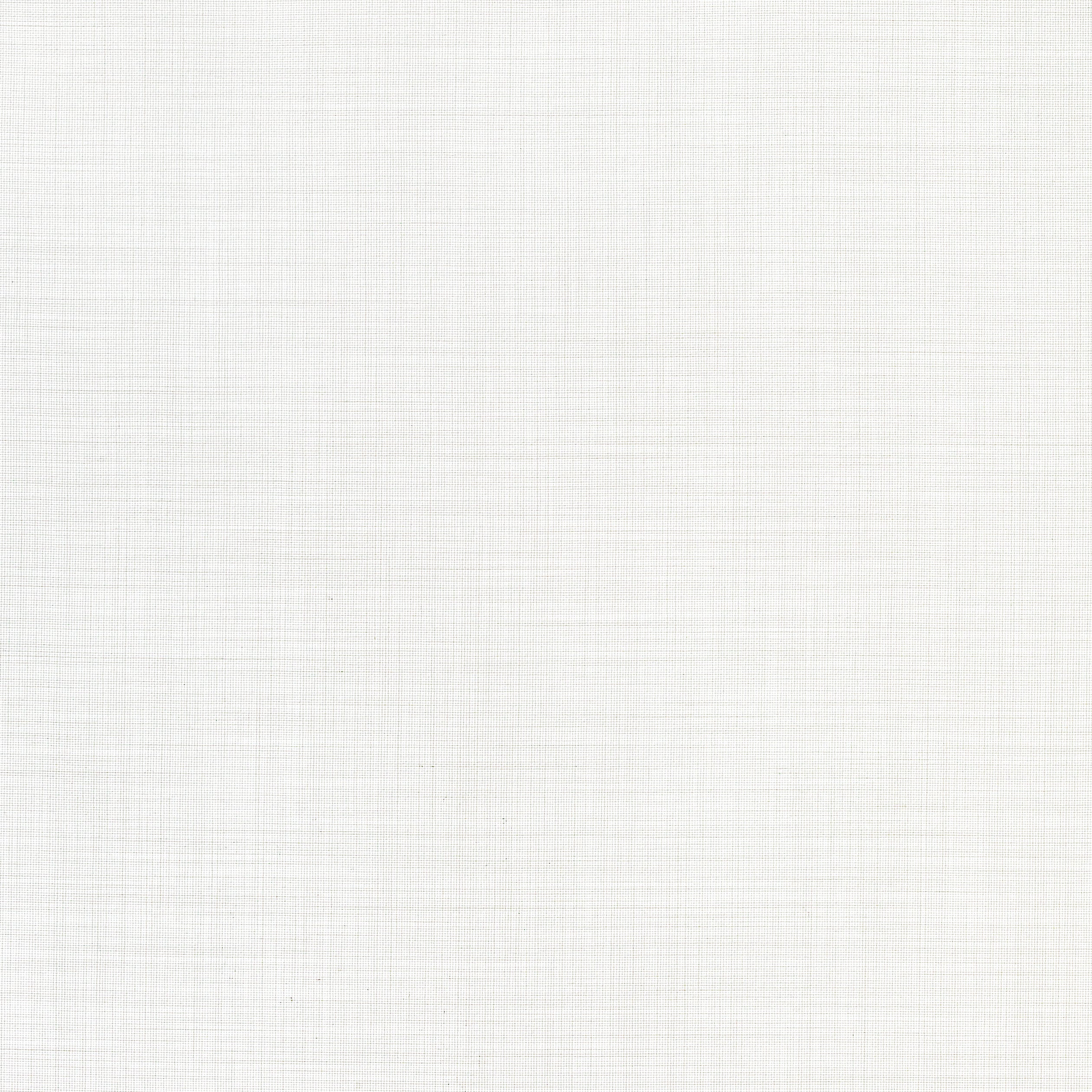 Charlestown fabric in snow white color - pattern number FWW7150 - by Thibaut in the Atmosphere and Locale Wide Width collections
