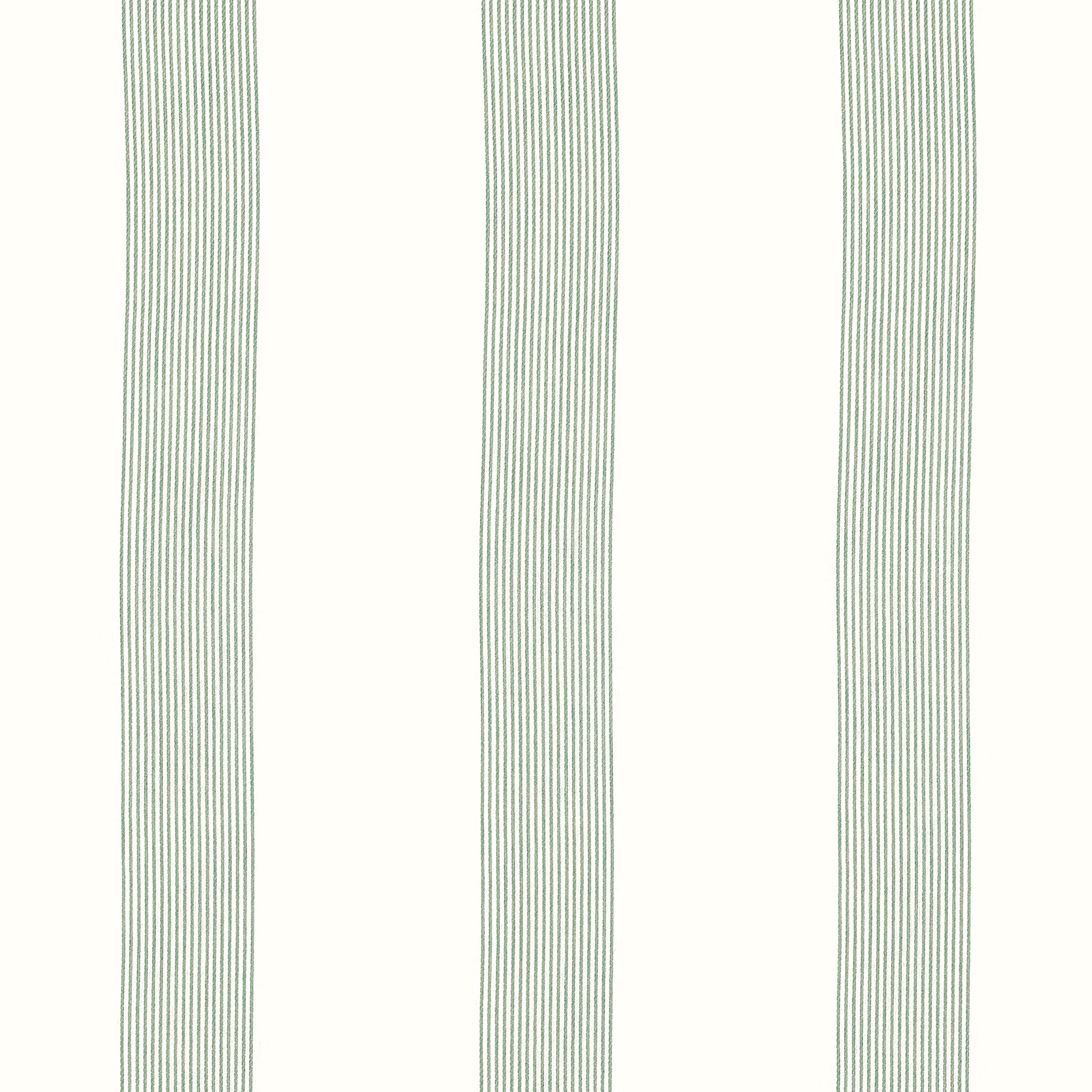 Sabine fabric in stripe aloe color - pattern number FWW81735 - by Thibaut in the Locale Wide Width collection
