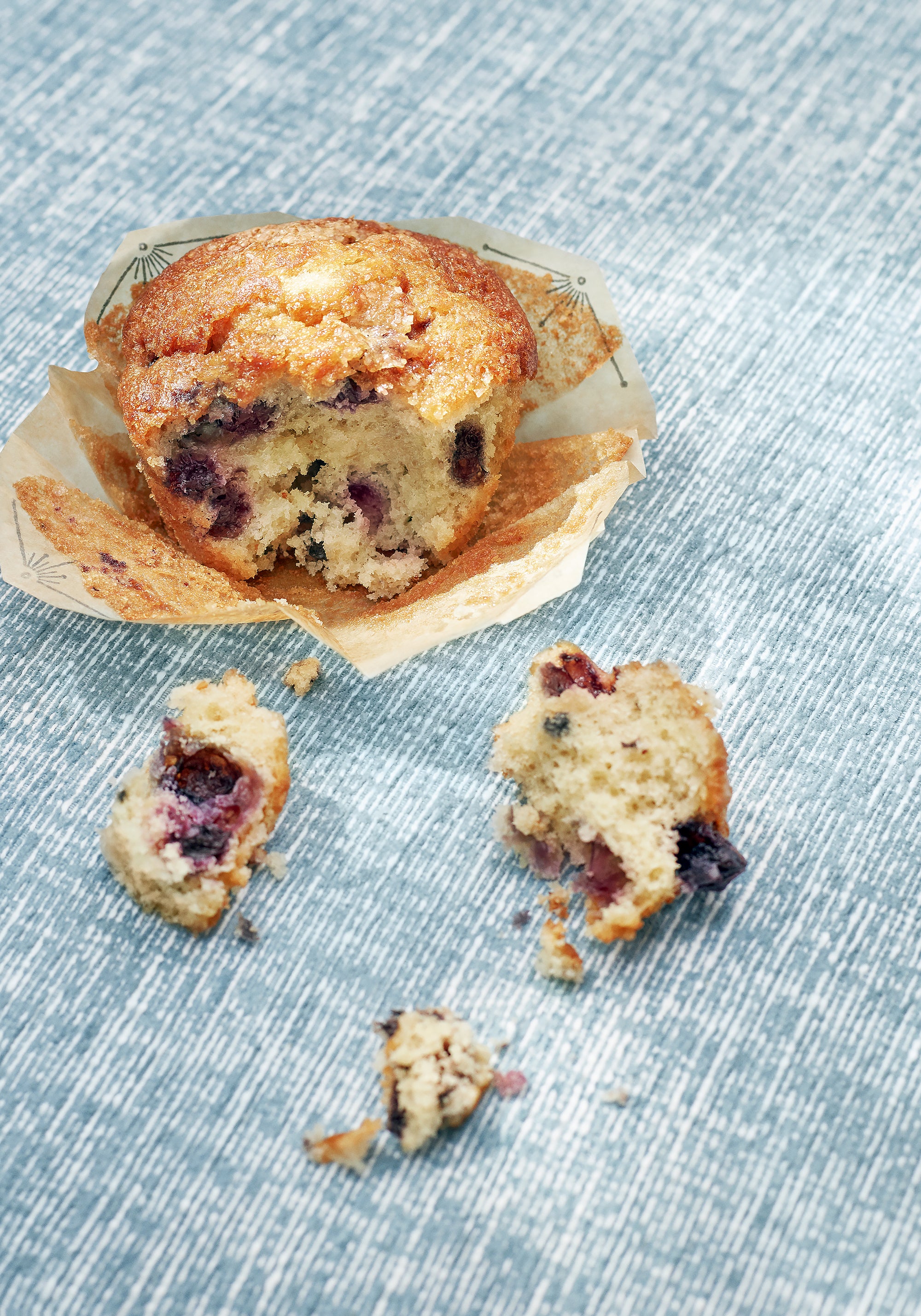 Stain resistant Freeport woven fabric in pool color - pattern number W74610 by Thibaut in the Festival collection