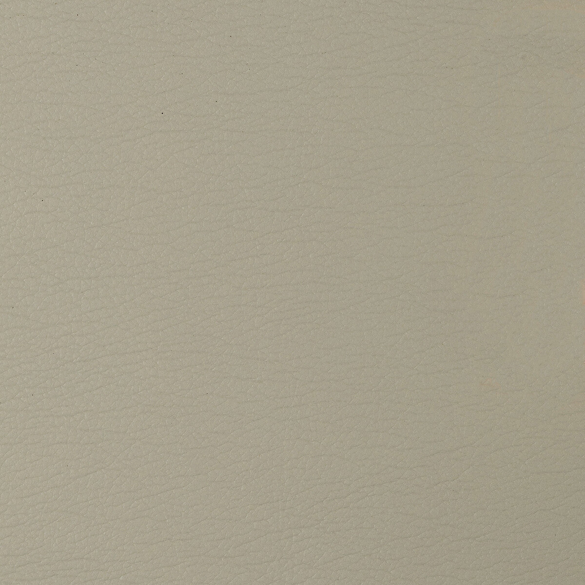 Kravet Design fabric in gato-106 color - pattern GATO.106.0 - by Kravet Design