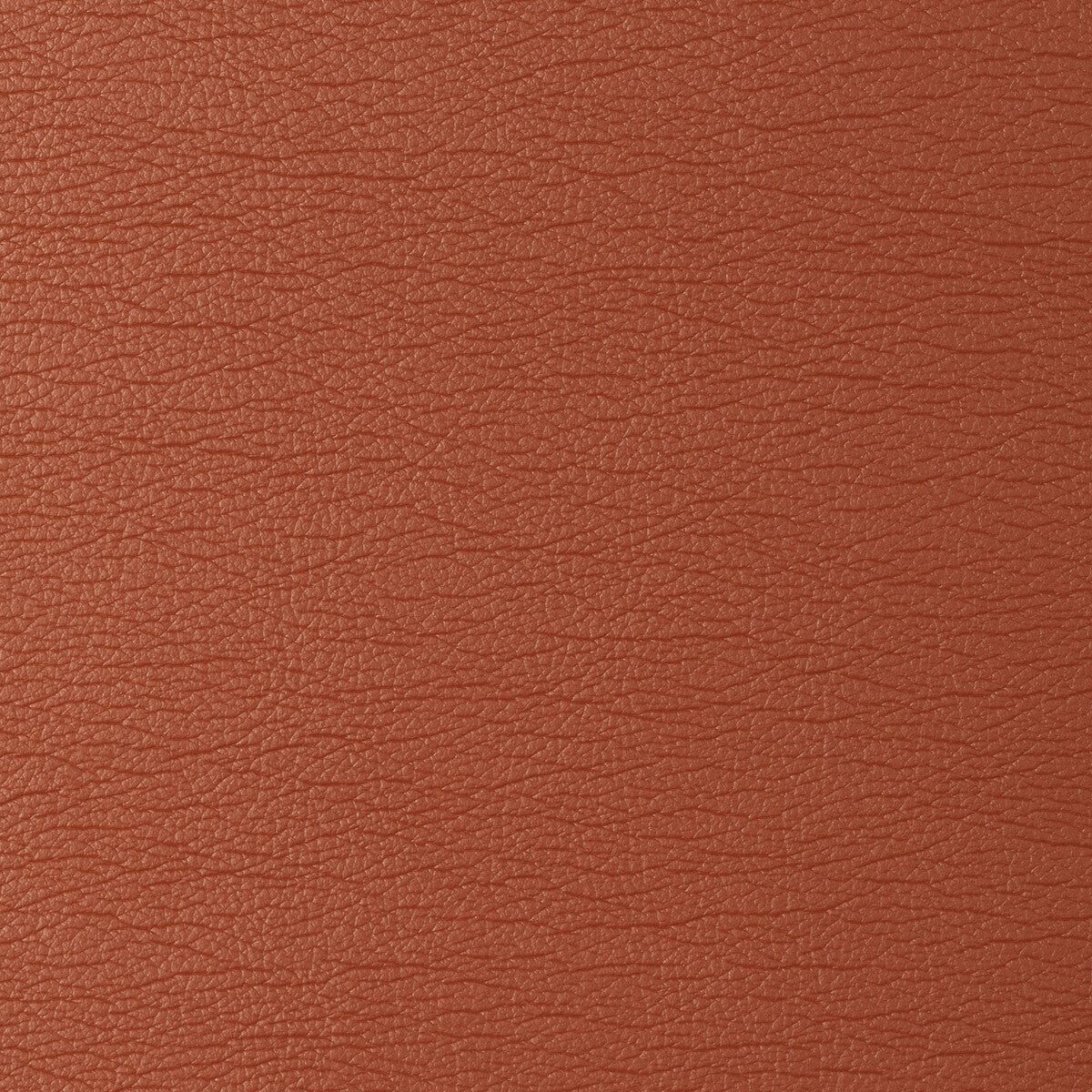 Kravet Design fabric in gato-12 color - pattern GATO.12.0 - by Kravet Design