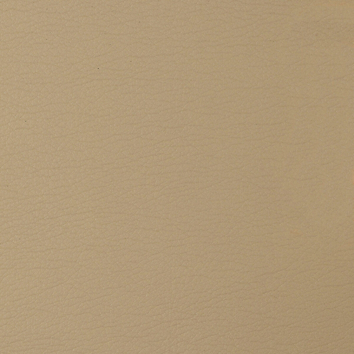 Kravet Design fabric in gato-1416 color - pattern GATO.1416.0 - by Kravet Design