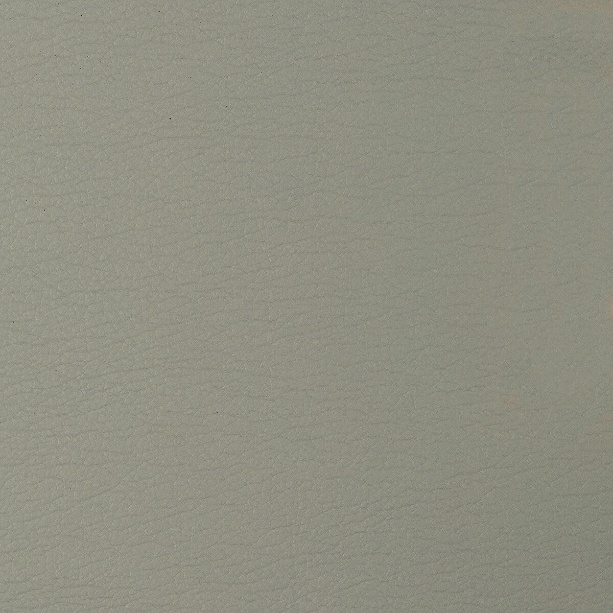 Kravet Design fabric in gato-1611 color - pattern GATO.1611.0 - by Kravet Design