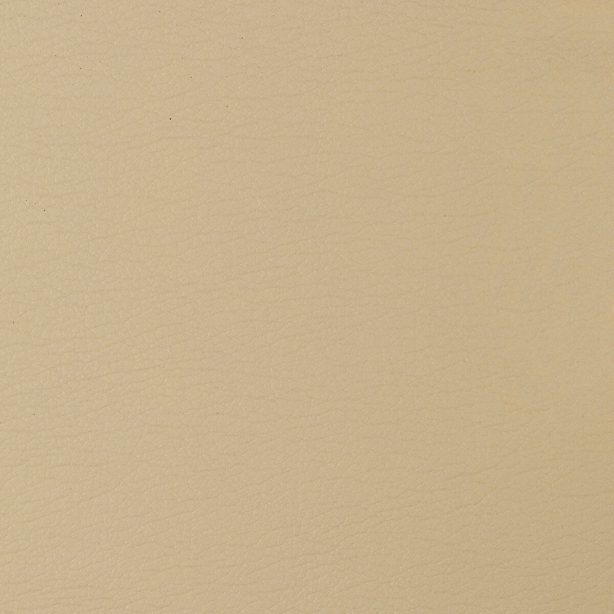 Kravet Design fabric in gato-1616 color - pattern GATO.1616.0 - by Kravet Design