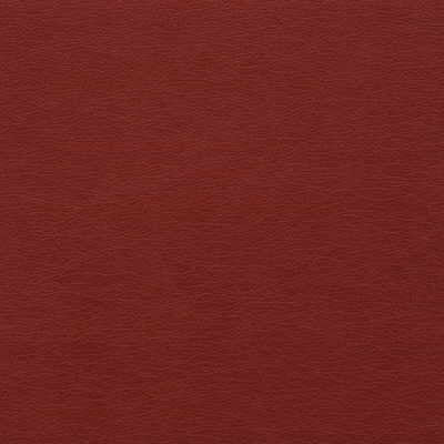 Kravet Design fabric in gato-19 color - pattern GATO.19.0 - by Kravet Design