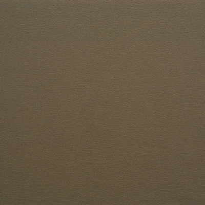 Kravet Design fabric in gato-621 color - pattern GATO.621.0 - by Kravet Design