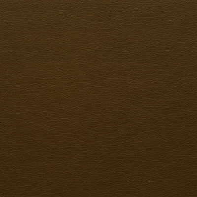 Kravet Design fabric in gato-66 color - pattern GATO.66.0 - by Kravet Design