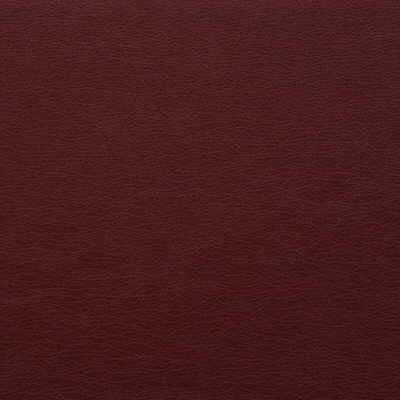 Kravet Design fabric in gato-9 color - pattern GATO.9.0 - by Kravet Design