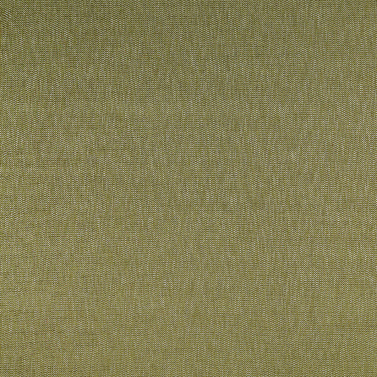 Alcala fabric in verde color - pattern GDT5201.001.0 - by Gaston y Daniela in the Madrid collection