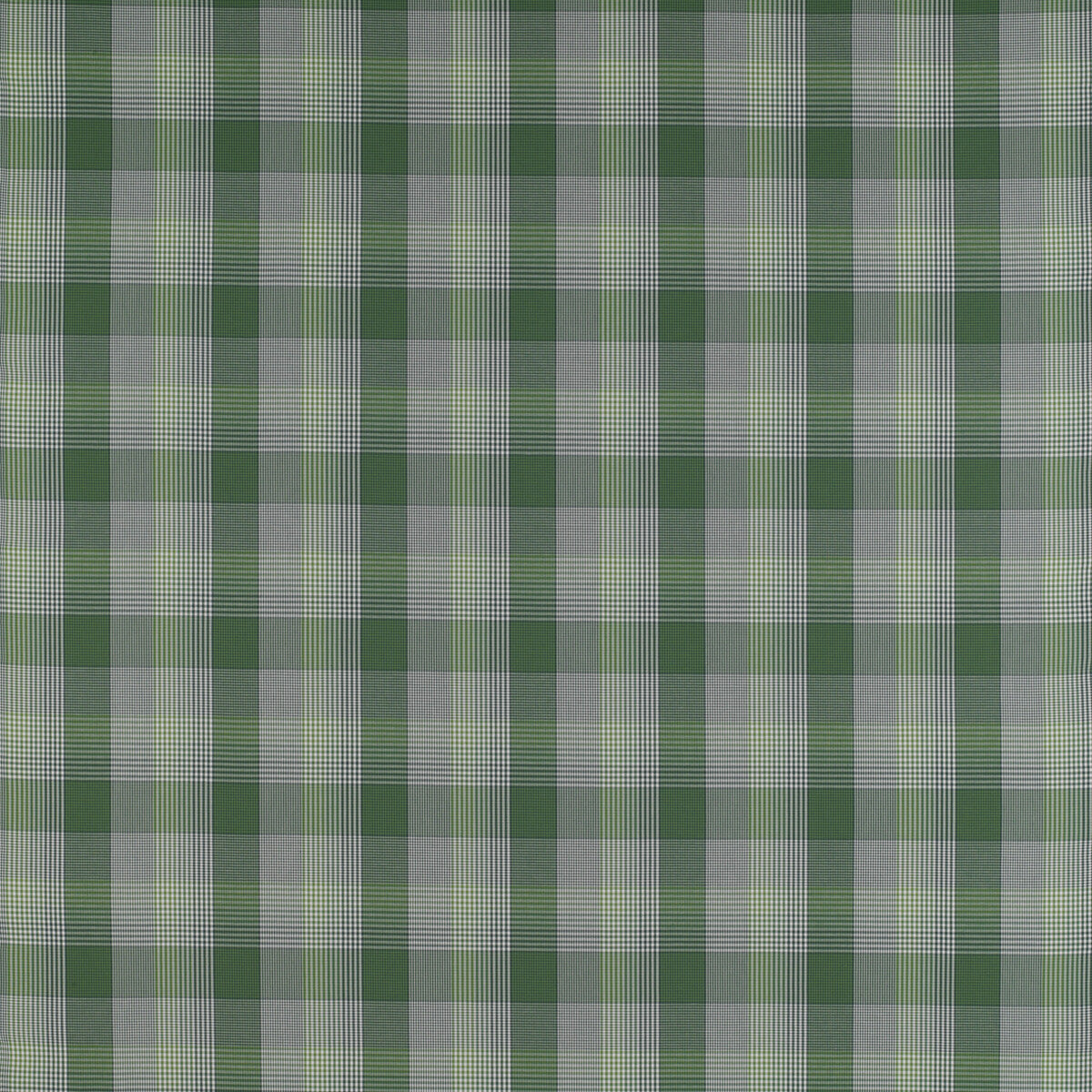 Preciados fabric in verde color - pattern GDT5202.006.0 - by Gaston y Daniela in the Madrid collection