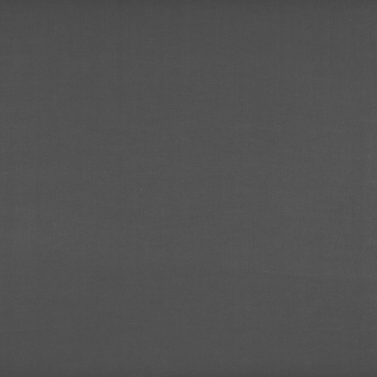 Recoletos fabric in gris/oscuro color - pattern GDT5203.011.0 - by Gaston y Daniela in the Madrid collection