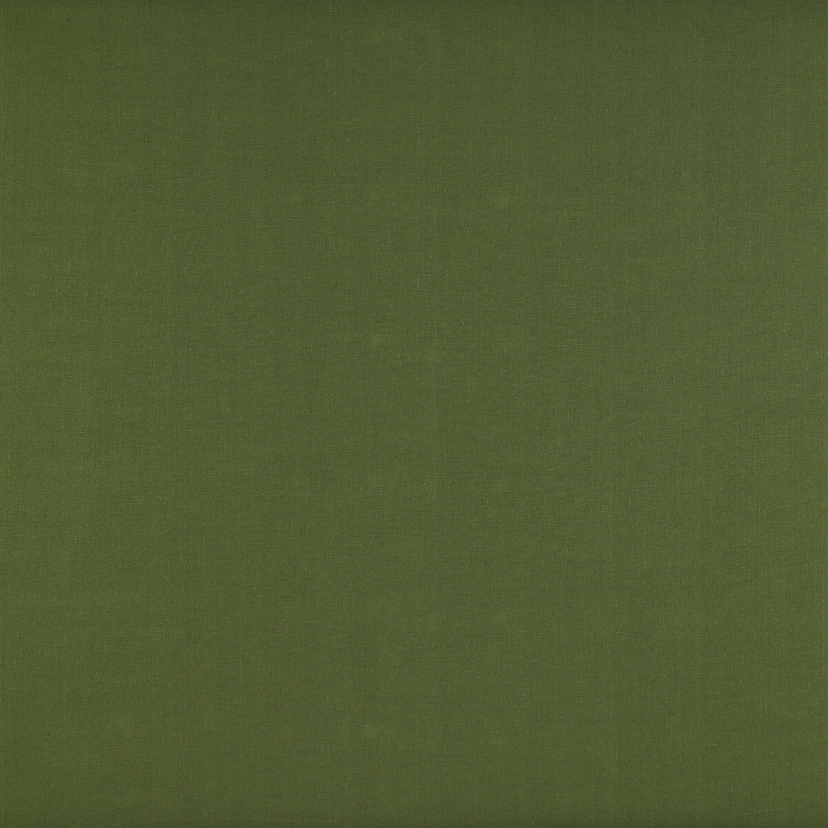 Recoletos fabric in verde color - pattern GDT5203.022.0 - by Gaston y Daniela in the Madrid collection