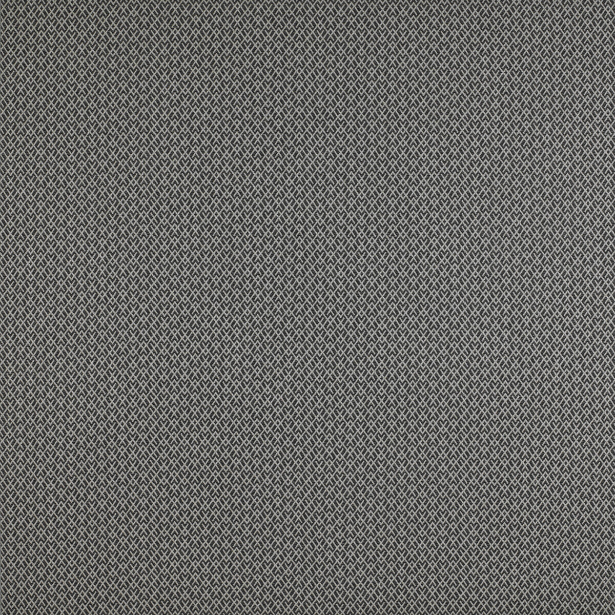 Chueca fabric in onyx color - pattern GDT5205.001.0 - by Gaston y Daniela in the Madrid collection