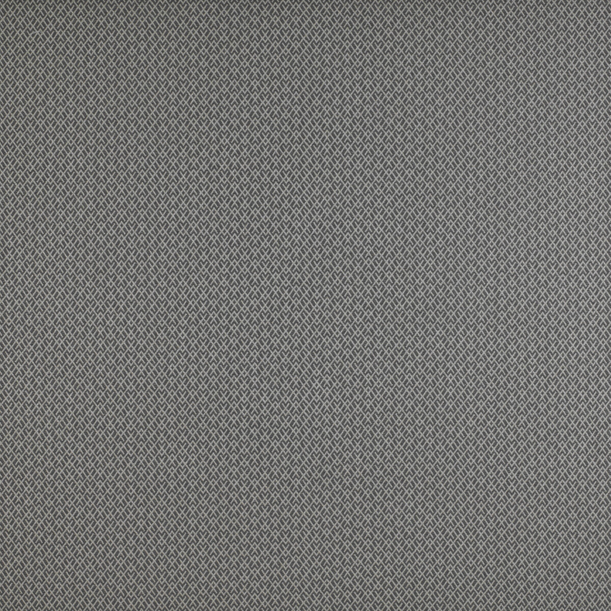 Chueca fabric in humo color - pattern GDT5205.002.0 - by Gaston y Daniela in the Madrid collection