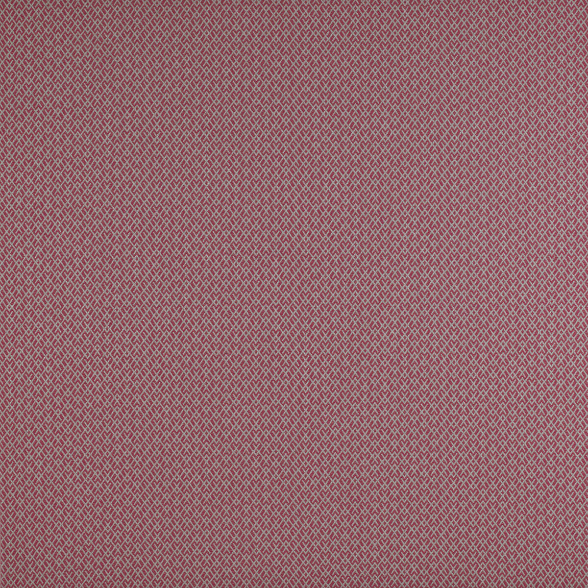 Chueca fabric in frambuesa color - pattern GDT5205.006.0 - by Gaston y Daniela in the Madrid collection