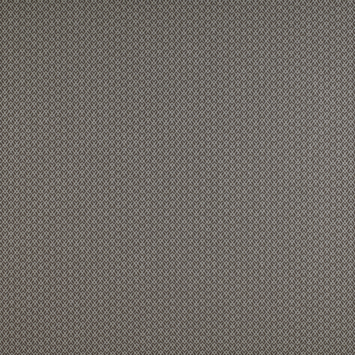Chueca fabric in marron color - pattern GDT5205.008.0 - by Gaston y Daniela in the Madrid collection
