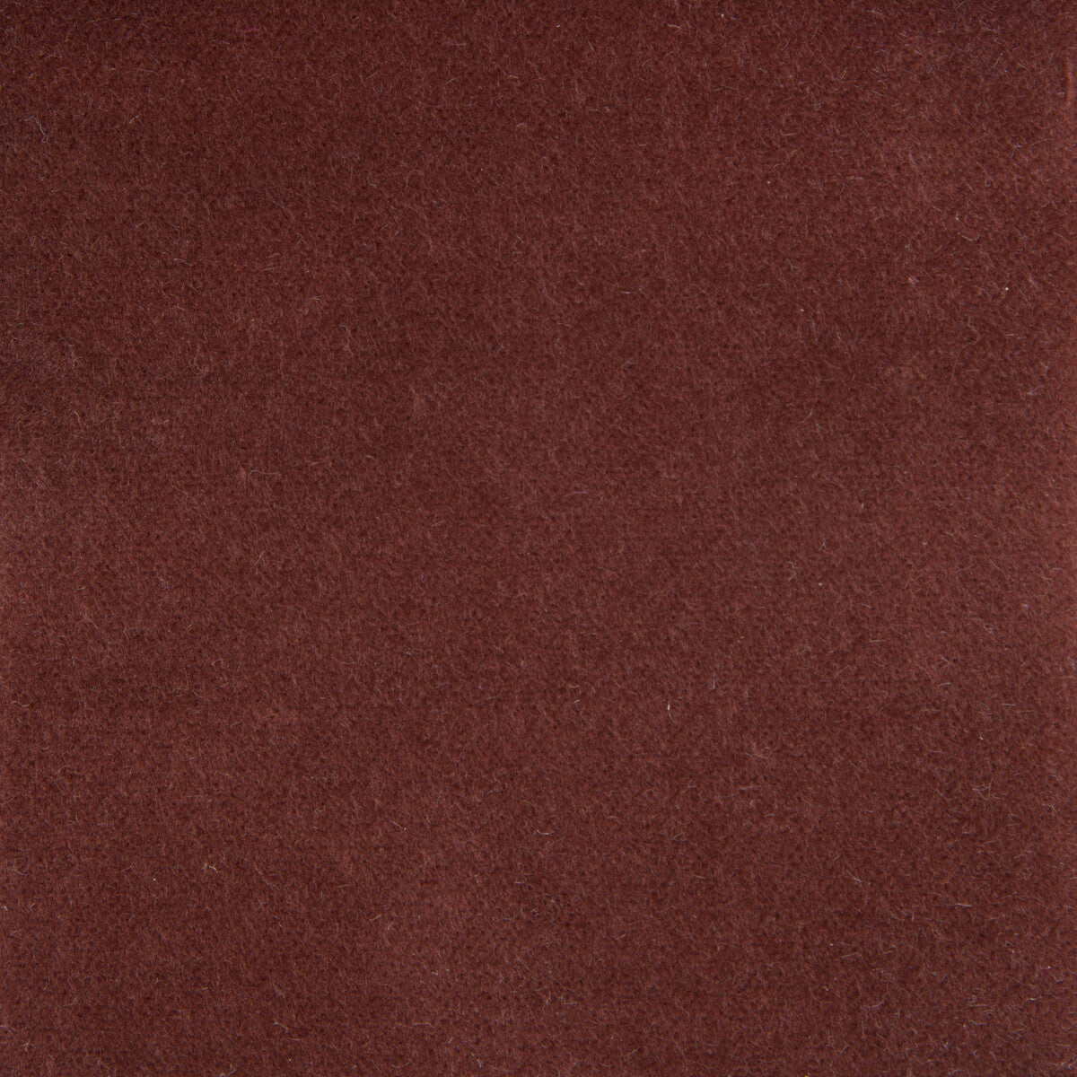 Venecia fabric in avellana color - pattern GDT5230.010.0 - by Gaston y Daniela in the Basics collection