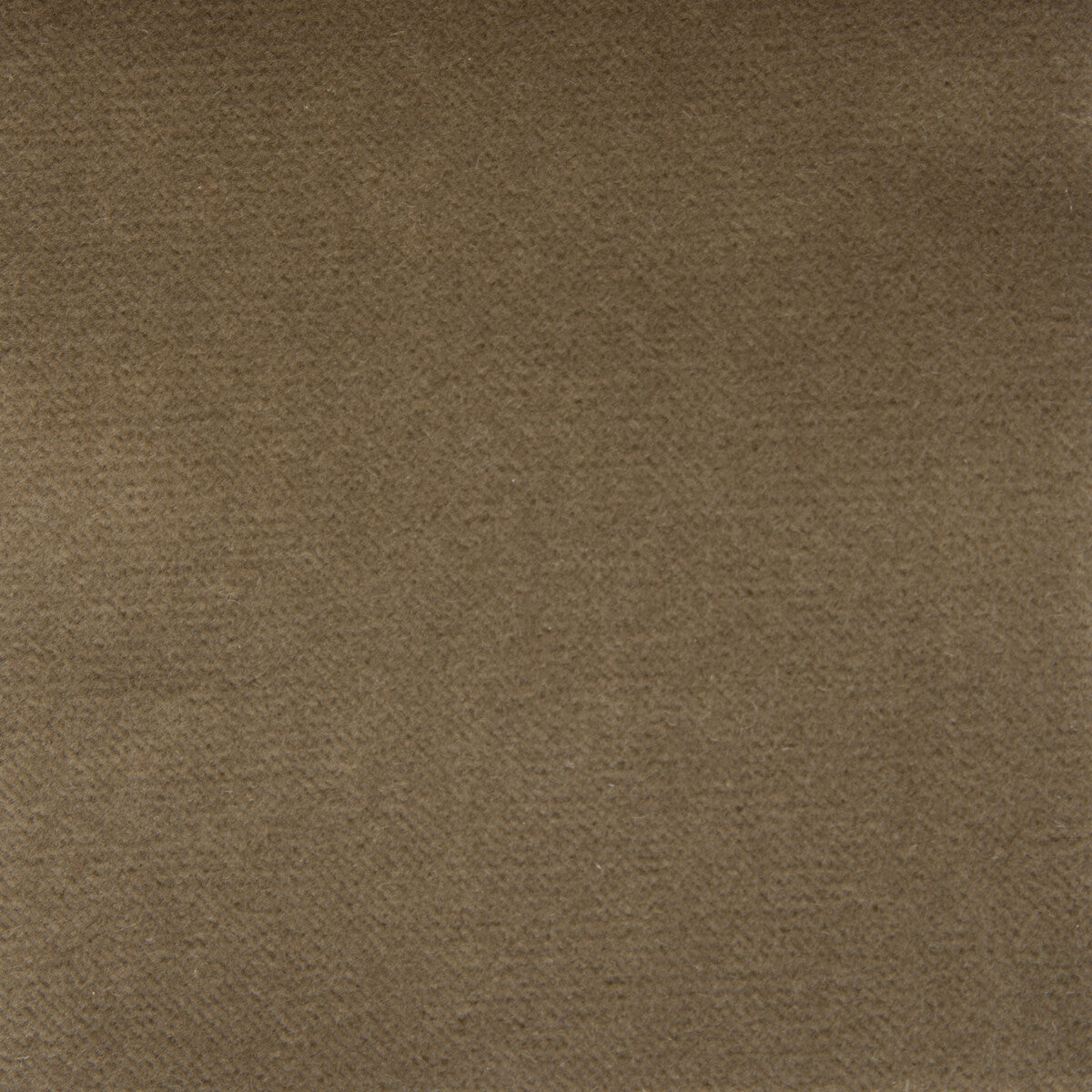 Venecia fabric in vison color - pattern GDT5230.013.0 - by Gaston y Daniela in the Basics collection