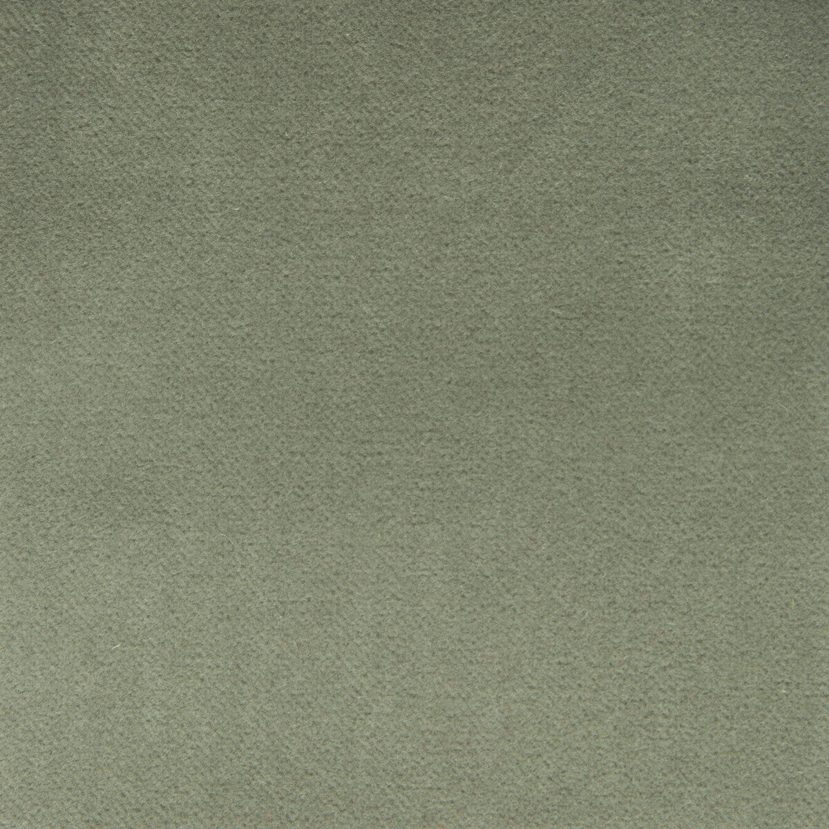Venecia fabric in agua color - pattern GDT5230.016.0 - by Gaston y Daniela in the Basics collection