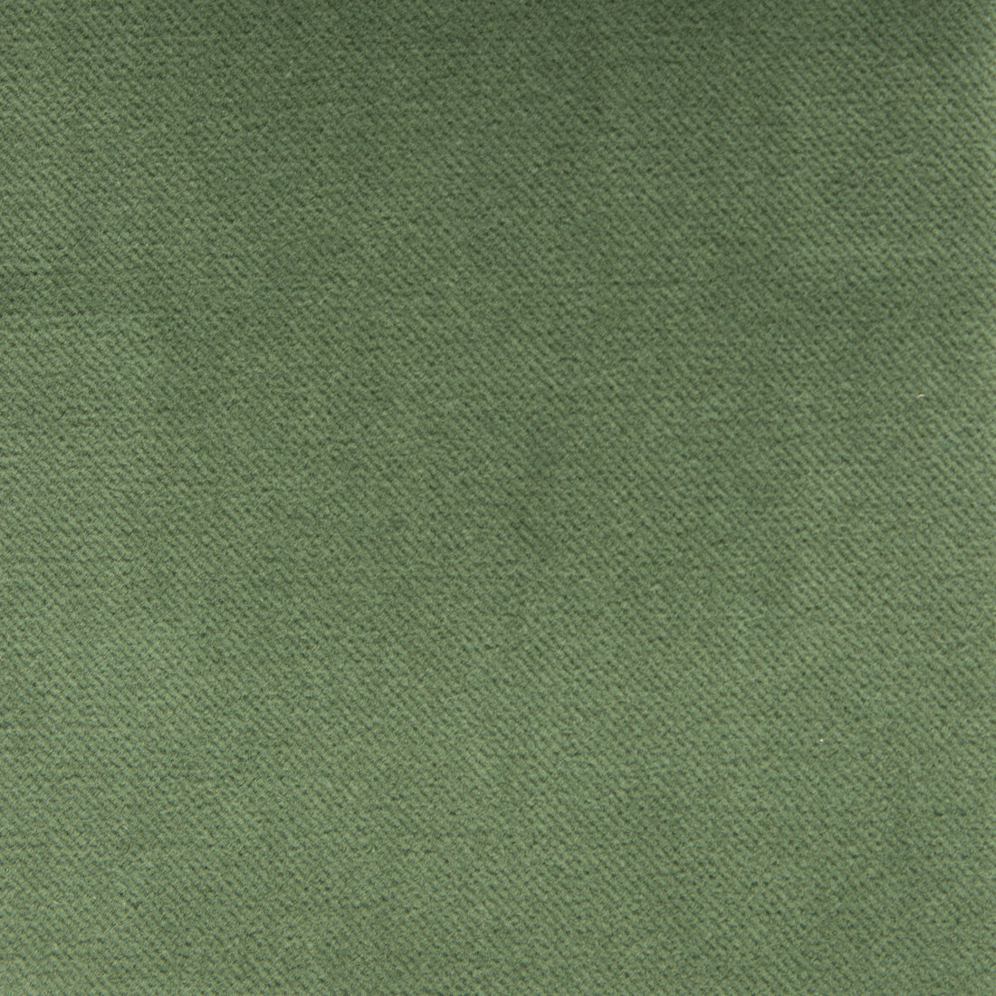 Venecia fabric in verde color - pattern GDT5230.021.0 - by Gaston y Daniela in the Basics collection