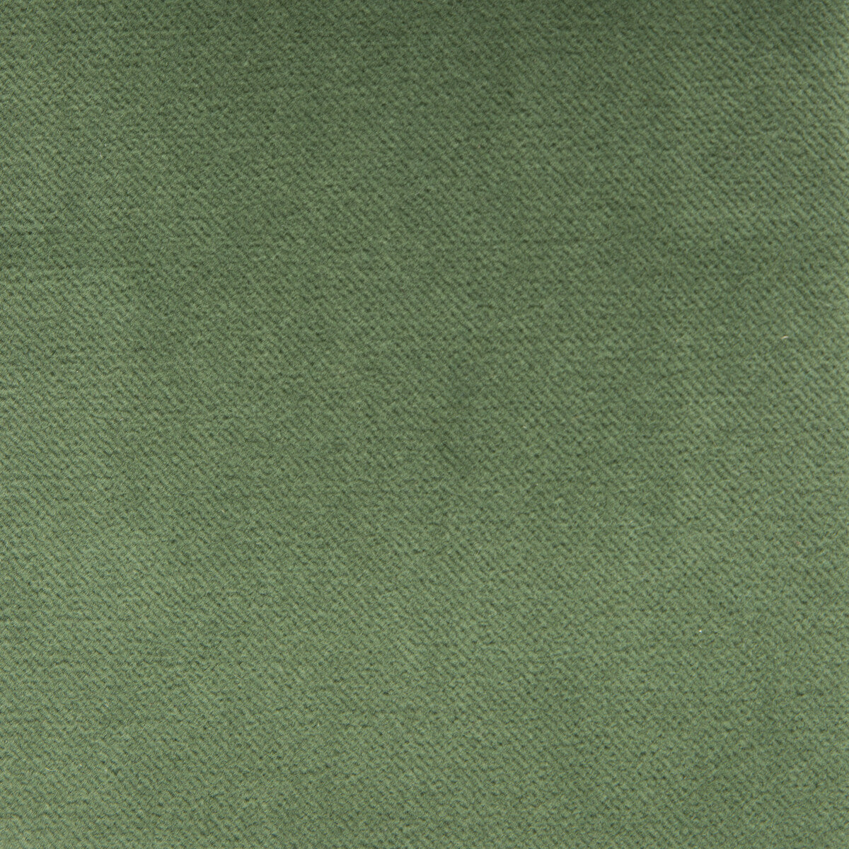 Venecia fabric in verde color - pattern GDT5230.021.0 - by Gaston y Daniela in the Basics collection