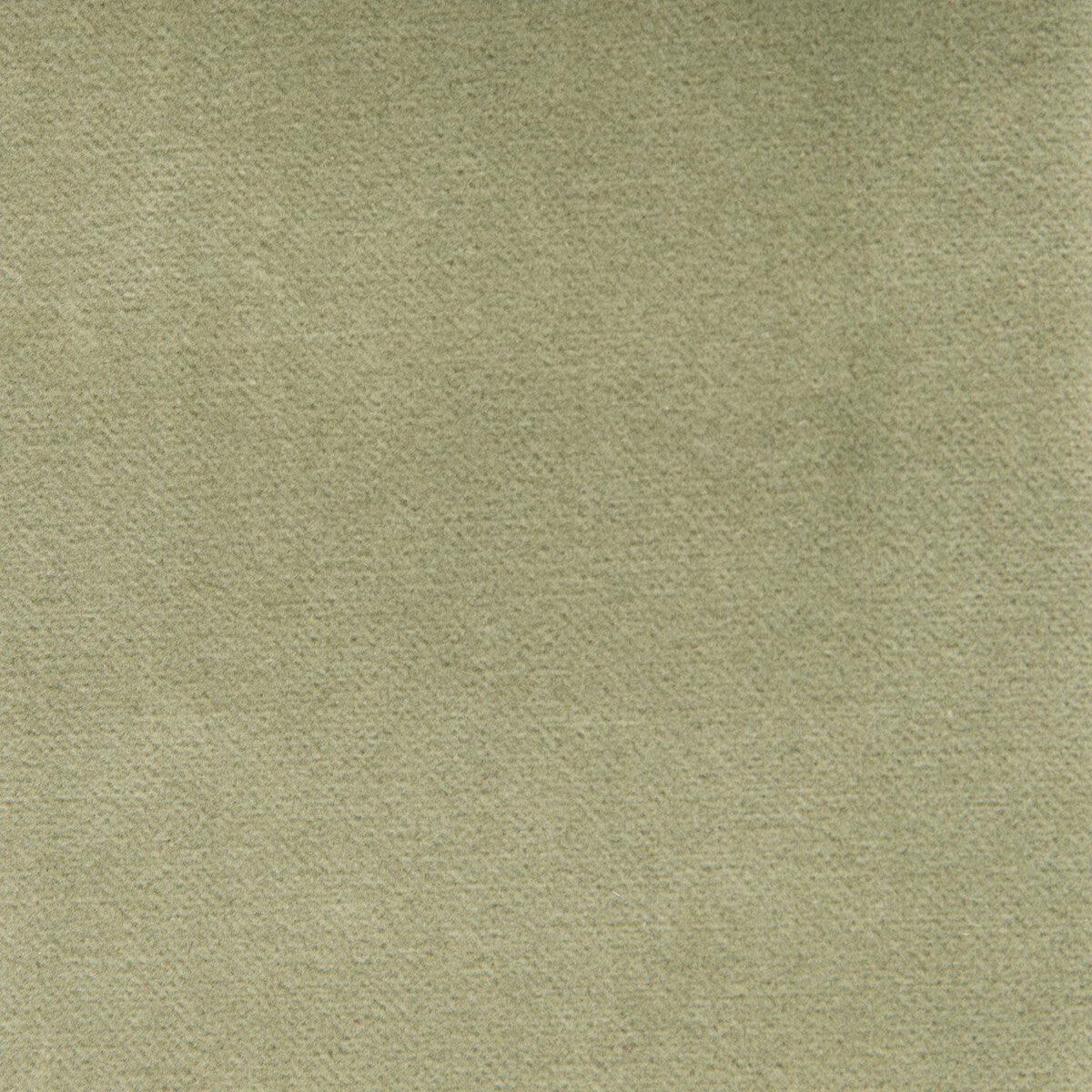 Venecia fabric in verde claro color - pattern GDT5230.022.0 - by Gaston y Daniela in the Basics collection