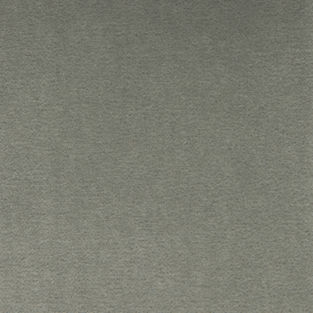 Venecia fabric in gris color - pattern GDT5230.024.0 - by Gaston y Daniela in the Basics collection
