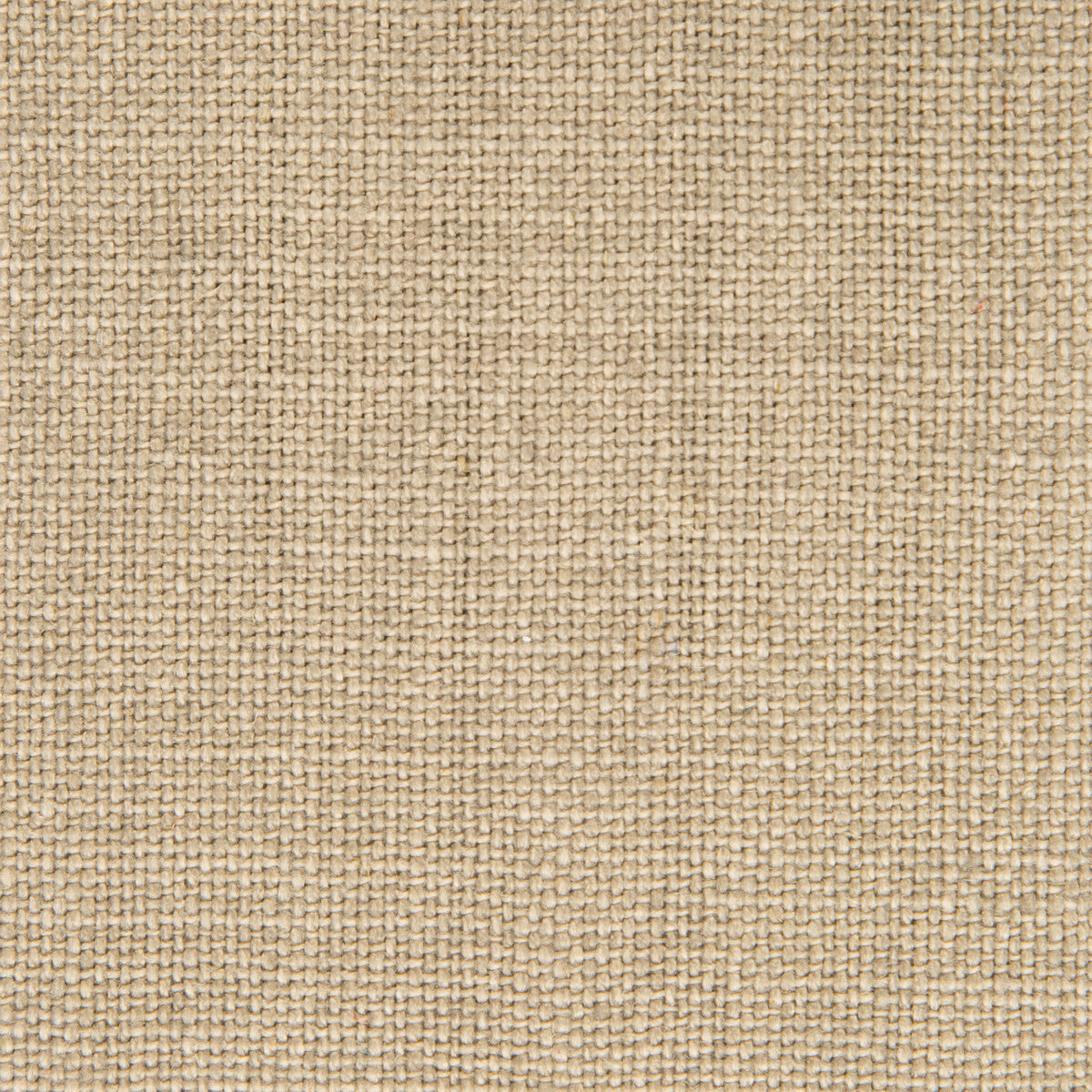 Nicaragua fabric in vison color - pattern GDT5239.002.0 - by Gaston y Daniela in the Basics collection