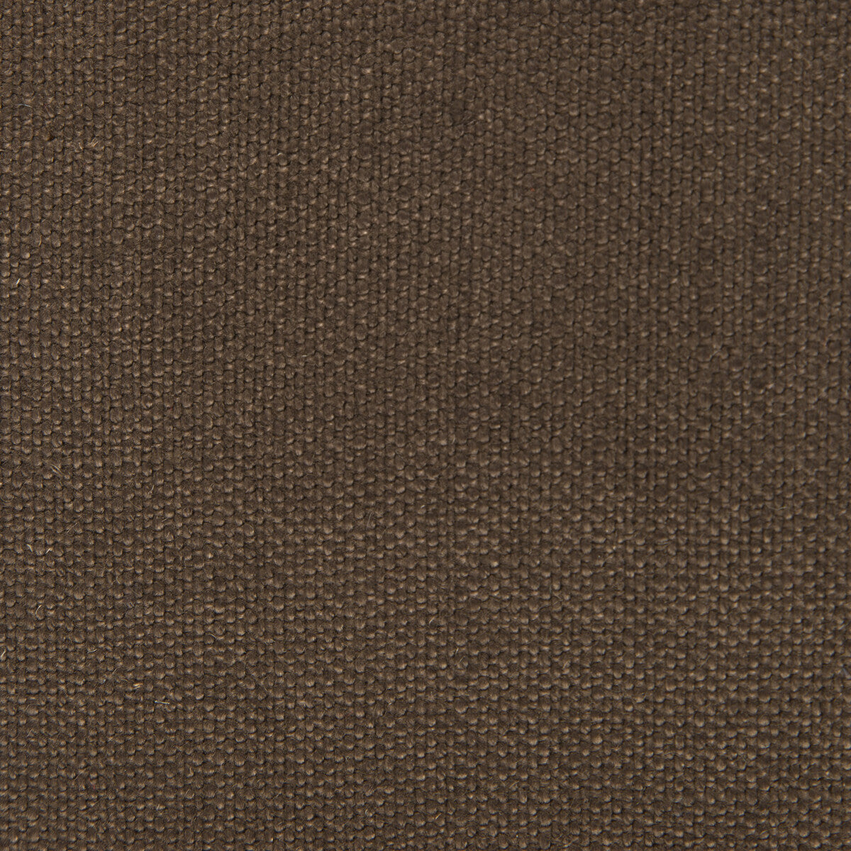 Nicaragua fabric in chocolate color - pattern GDT5239.030.0 - by Gaston y Daniela in the Basics collection
