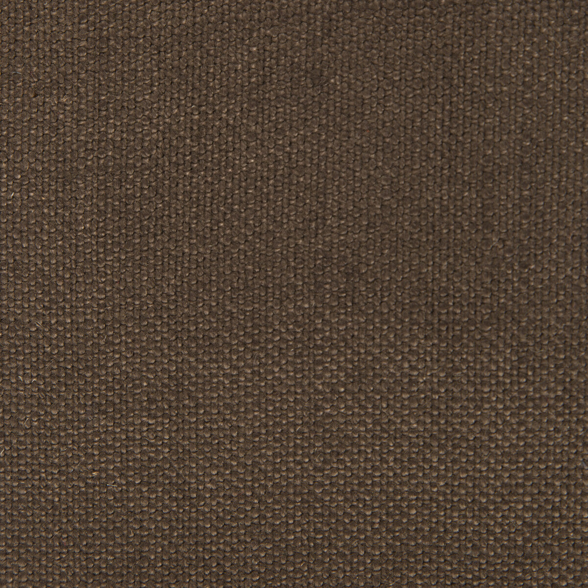 Nicaragua fabric in chocolate color - pattern GDT5239.030.0 - by Gaston y Daniela in the Basics collection